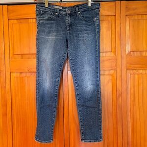 Adriano Goldschmied The Stevie Petite Slim Straight Ankle Made in USA Size 29R